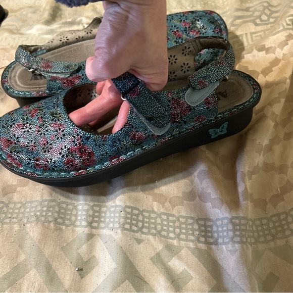 Alegria Shoes - Alegria Floral Blue Mules